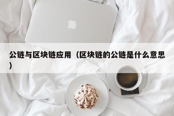 公链与区块链应用（区块链的公链是什么意思）