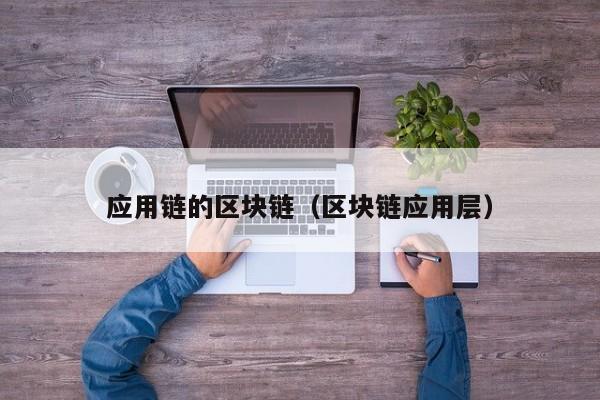 应用链的区块链（区块链应用层）