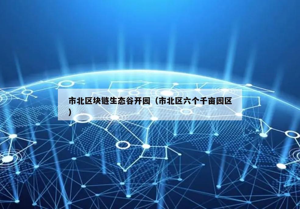 市北区块链生态谷开园（市北区六个千亩园区）