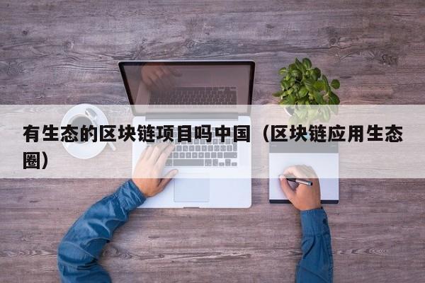 有生态的区块链项目吗中国（区块链应用生态圈）