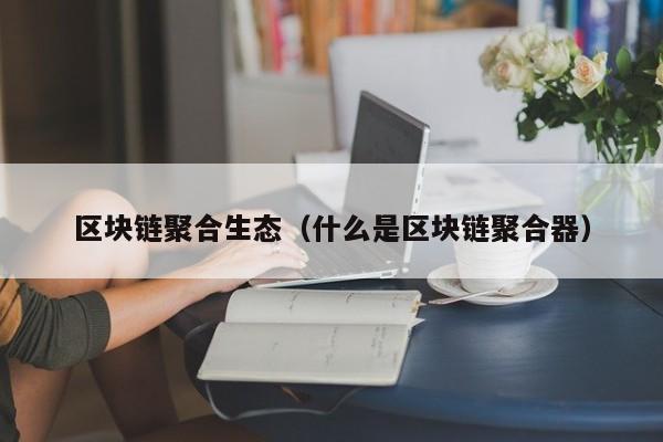 区块链聚合生态（什么是区块链聚合器）
