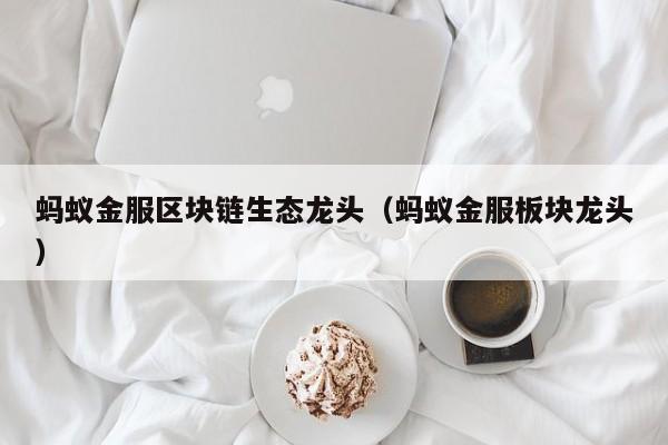 蚂蚁金服区块链生态龙头（蚂蚁金服板块龙头）