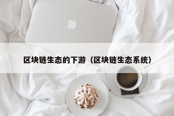 区块链生态的下游（区块链生态系统）