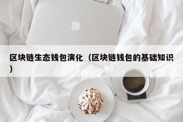 区块链生态钱包演化（区块链钱包的基础知识）