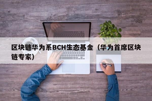区块链华为系BCH生态基金（华为首席区块链专家）