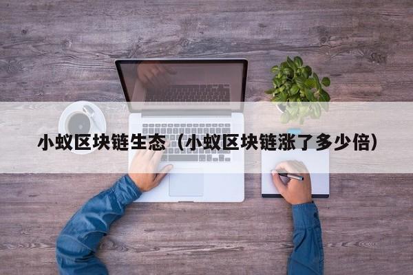 小蚁区块链生态（小蚁区块链涨了多少倍）