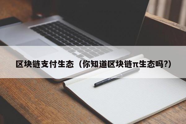 区块链支付生态（你知道区块链π生态吗?）