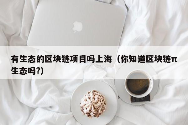 有生态的区块链项目吗上海（你知道区块链π生态吗?）