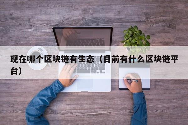 现在哪个区块链有生态（目前有什么区块链平台）