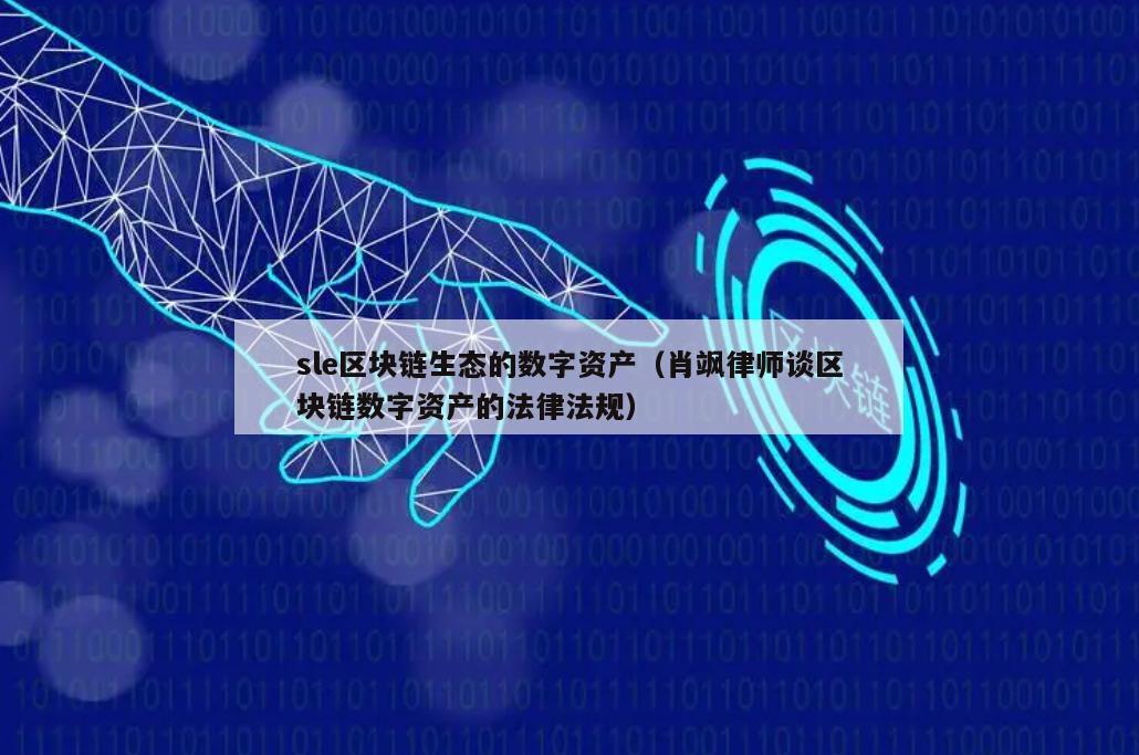 sle区块链生态的数字资产（肖飒律师谈区块链数字资产的法律法规）