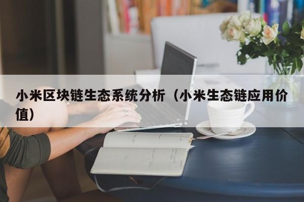 小米区块链生态系统分析（小米生态链应用价值）