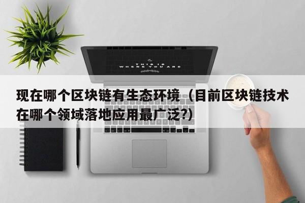 现在哪个区块链有生态环境（目前区块链技术在哪个领域落地应用最广泛?）