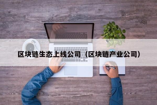 区块链生态上线公司（区块链产业公司）