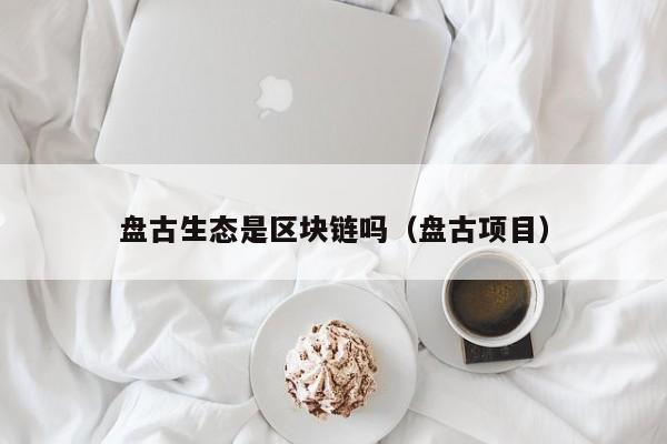 盘古生态是区块链吗（盘古项目）