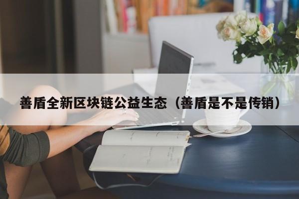 善盾全新区块链公益生态（善盾是不是传销）